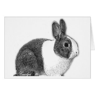 Dutch Bunny