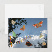 Dutch Butterflies Happy Birthday Briefkaart (Voorkant / Achterkant)