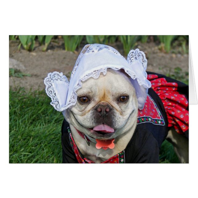 Dutch Pooch (Voorkant Horizontaal)