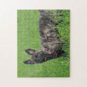 Dutch Shepherd Dog Legpuzzel (Verticaal)