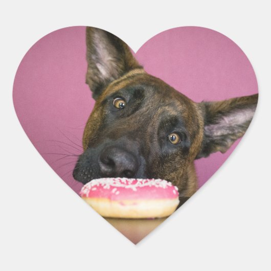 Dutch shepherd versus donut hart sticker (Voorkant)