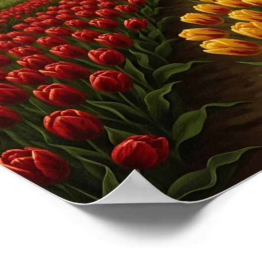 Dutch Tulip Fields Poster (Hoek)