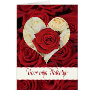 Dutch Valentine's Day Roses