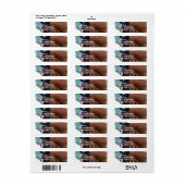 Dutch Warmblood Paard Mailing Label (Full Sheet)