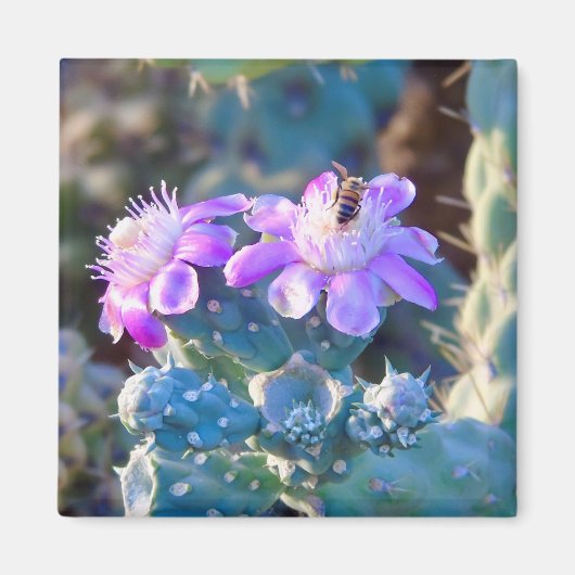 Duurventilator — Pollinator Magneet (Voorkant)