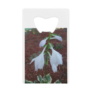Duw op een Sun Hosta Bloom Kredietkaart Flessenopener