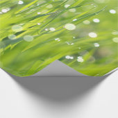 Duwvallen op gras cadeaupapier (Hoek)