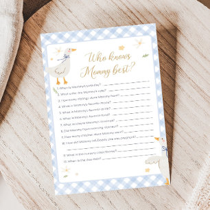 Dwaas Gans Gingham Baby Shower Wie weet spel