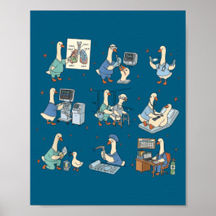 Dwaas ganzen ademhalingstherapeut long grappig poster