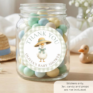 Dwaas Ganzensage Gingham Bedankt Baby Shower Ronde Sticker
