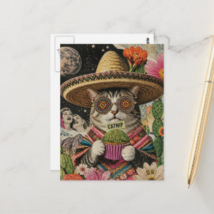 Dwaas kat met kattenkruid-cupcake collage briefkaart