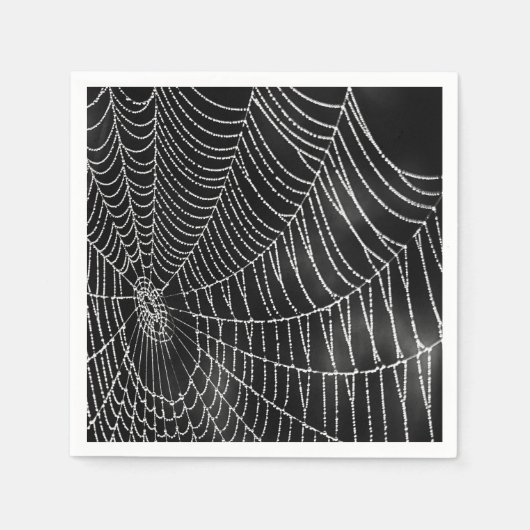 Dwangspiderweb Servet (Voorkant)