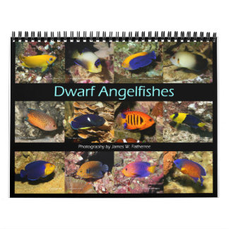 Dwarf Angelfishes Wall Calendar van J.W. Fatherree Kalender