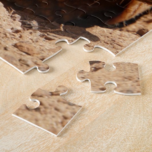 Dwarf Armadillo Gezegde Hallo Legpuzzel (Zijkant)