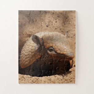 Dwarf Armadillo Gezegde Hallo Legpuzzel