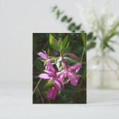 Dwarf Fireweed Blossom, Unalaska Island Briefkaart (Staand voorkant)