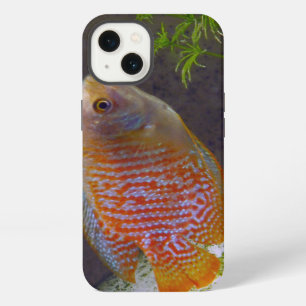 Dwarf Gourami Fish iPhone 13 Hoesje
