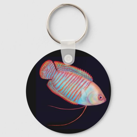 Dwarf Gourami Tropische Fish Sleutelhanger (Voorkant)