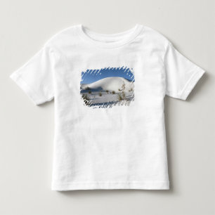 Dwarsduinen en Soaptree Yucca Kinder Shirts