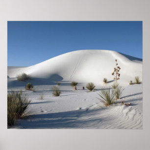 Dwarsduinen en Soaptree Yucca Poster