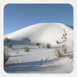 Dwarsduinen en Soaptree Yucca Vierkante Sticker