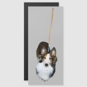 dweil (Voorkant / Achterkant)