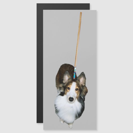 dweil (Voorkant / Achterkant)