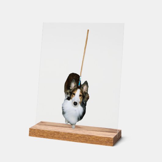 dweil acryl bord (Hoek)