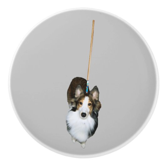 dweil keramische knop (Voorkant)