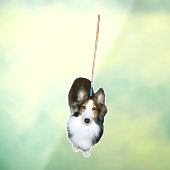 dweil raamsticker (Vel 3)