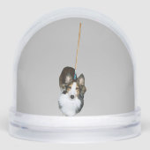 dweil sneeuwbol (Voorkant)