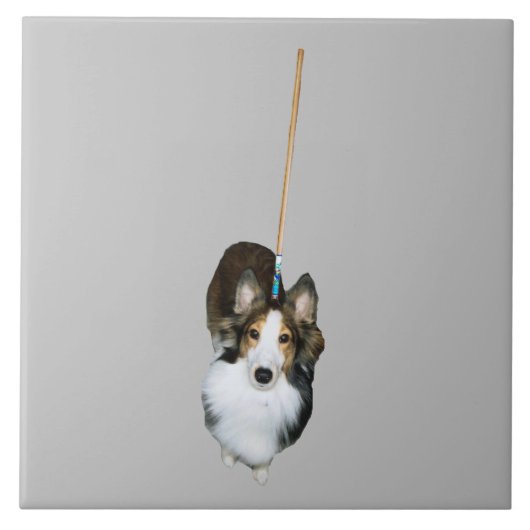 dweil tegeltje (Voorkant)