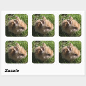 Dwerg Bunny Stickers (Vel)