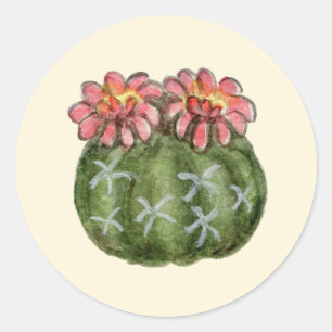 Dwerg Chin cactus sticker