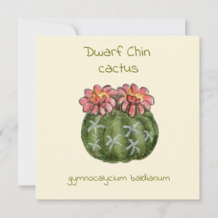 Dwerg kin cactus kaart