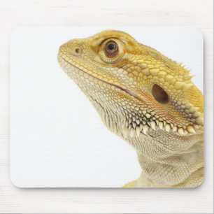 Dwergdraak (Pogona Vitticeps) Muismat