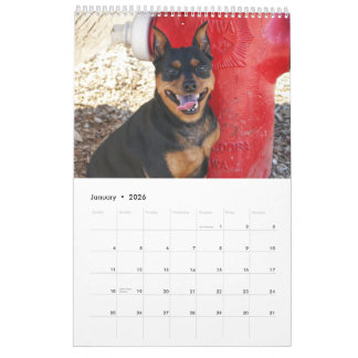 Dwergpinscher Eén Kalender