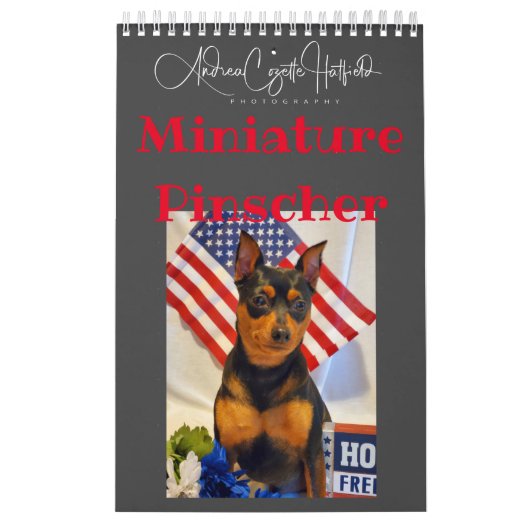 Dwergpinscher Kalender (Hoes)