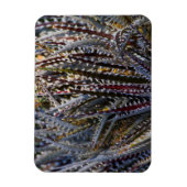 Dyckia delights magneet (Verticaal)