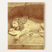 Dying Lion of Luzern - Löwendenkmal (Dos)