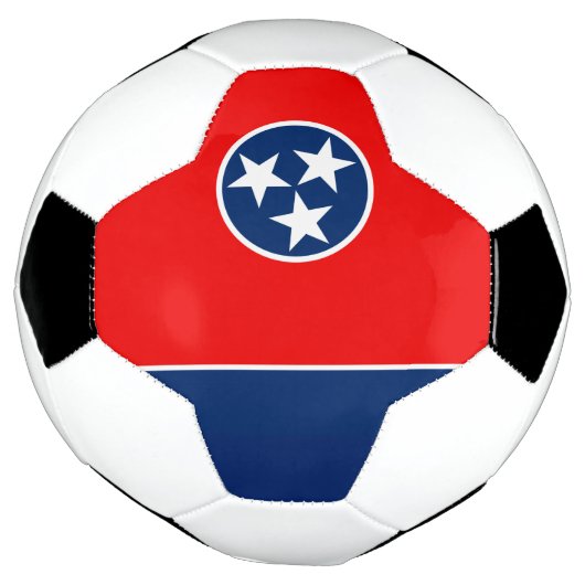 Dynamic Tennessee (Tourné)