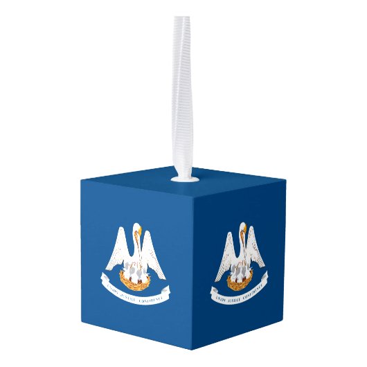 Dynamische Louisiana de Grafische Vlag van de Staa Ornament (Achter hoekig)