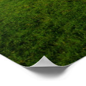 Dysert O Dea Celtic Cross Poster (Hoek)