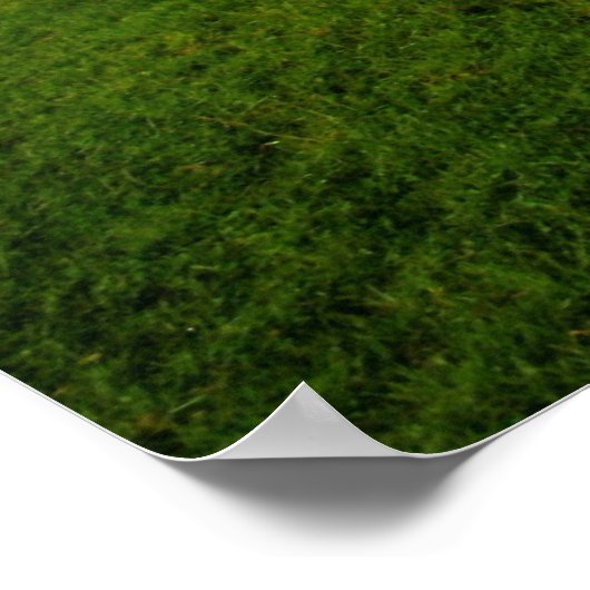 Dysert O Dea Celtic Cross Poster (Hoek)