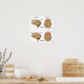 Dyslexie hersenactiviteit Poster (Keuken)