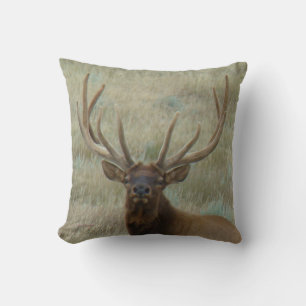 E10 Bull Elk in Fluwelen Gewei Kussen