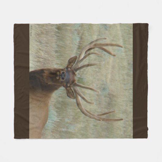E10 Bull Elk in Velvet Head Shot Fleece Deken (Voorkant (Horizontaal))