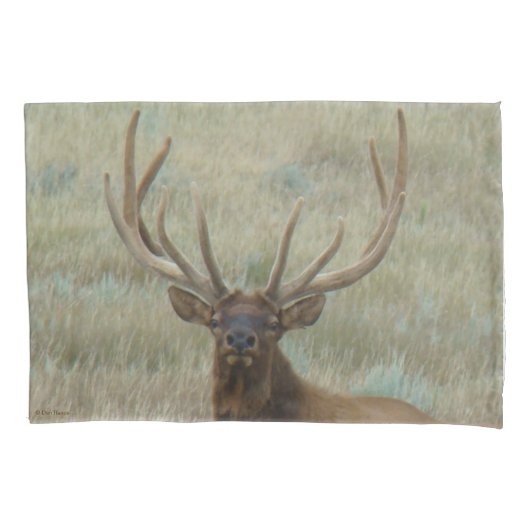 E10 Bull Elk in Velvet Head Shot Kussensloop (Voorkant)
