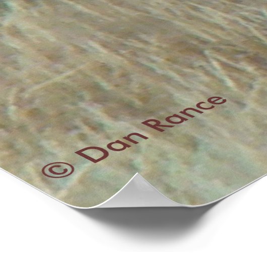 E10 Bull Elk in Velvet Poster (Hoek)