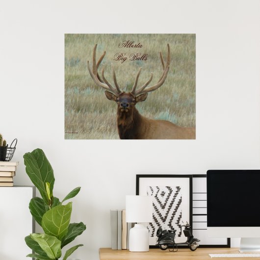 E10 Bull Elk in Velvet Poster (Thuiskantoor)